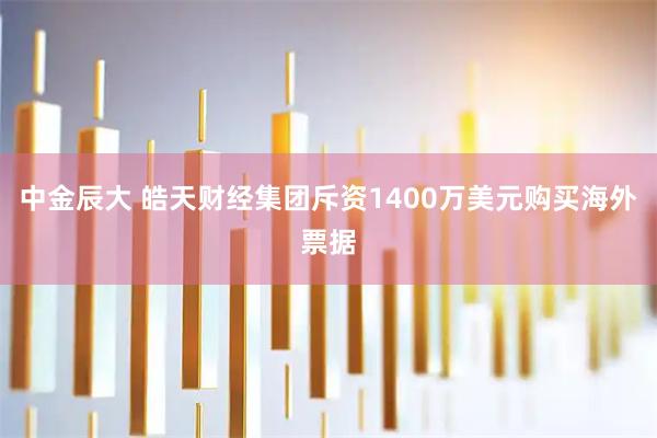 中金辰大 皓天财经集团斥资1400万美元购买海外票据